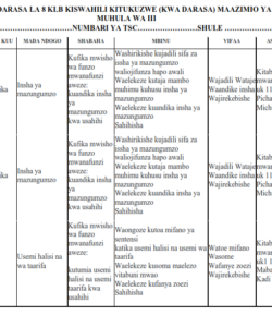 2023 DARASA LA 8 KLB KISWAHILI KITUKUZWE (KWA DARASA) MAAZIMIO YA KAZI -MUHULA 3