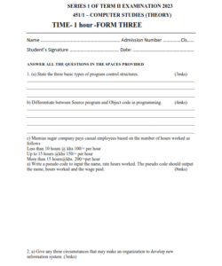 2023 FORM 3 COMPUTER STUDIES MID-TERM 2 EXAMS  WITH MARKING SCHEMES