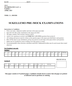2023 FORM MATHEMATICS SUKELLEMO JOINT PAPER 1-3 PRE – MOCK EXAMS WITH MARKING SCHEMES