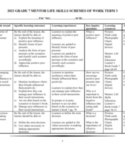 2023 GRADE 7 MENTOR LIFE SKILLS SCHEMES OF WORK TERM 3