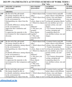 2024 PRE-PRIMARY 1 MATHEMATICS  ACTIVITIES SCHEMES OF WORK - TERM 1