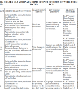 2024 GRADE 6 KLB VISIONARY HOME SCIENCE SCHEMES OF WORK TERM 1
