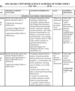2024 GRADE 6 MTP HOME SCIENCE SCHEMES OF WORK TERM 1