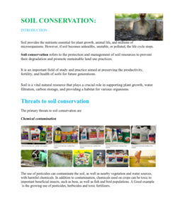 GRADE 8 AGRICULTURE  LESSON NOTES - TERM 1