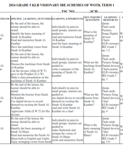 2024 GRADE 5 KLB VISIONARY IRE SCHEMES OF WOTK TERM 1