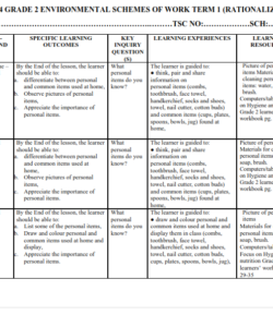 2024 GRADE 2 ENVIRONMENTAL SCHEMES OF WORK TERM 1 (RATIONALIZED)