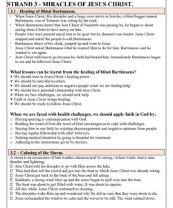 2024 GRADE 8 CRE RATIONALIZED NOTES TERM 2