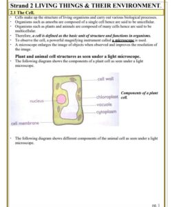 2024 GRADE 8 INTEGRATED SCIENCE RATIONALIZED NOTES TERM 2