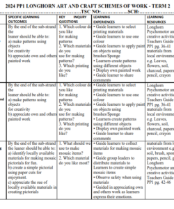 2024 PP1 LONGHORN ART AND CRAFT SCHEMES OF WORK - TERM 2