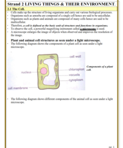 GRADE 8 RATIONALIZED INTEGRATED SCIENCE NOTES - TERM 2