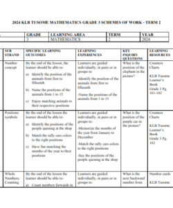 2024 GRADE 3 ALL SUBJECTS  (BUNDLE) SCHEMES OF WORK -TERM 2