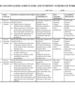 2024 GRADE 4 ALL SUBJECTS SCHEMES OF WORK - TERM 2