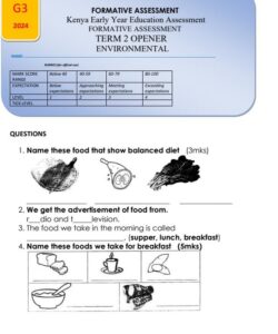 2024 Grade 3 Term 2 Opener Examinations with Marking Schemes