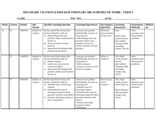 2024 GRADE 3 RATIONALISED KLB VISIONARY IRE SCHEMES OF WORK - TERM 2 ...