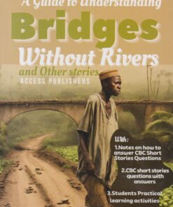 Grade 8 Guide to Understanding Bridges Without Rivers
