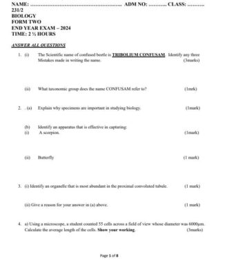 2024 Form 2 Business Studies End of Term 3 Exams with Marking Scheme ...