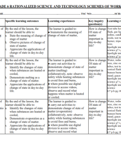 2025  GRADE 6  RATIONALIZED SCIENCE AND TECHNOLOGY SCHEMES OF WORK TERM 2