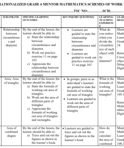 2025 GRADE 6 RATIONALIZED  MENTOR MATHEMATICS SCHEMES OF WORK TERM 2