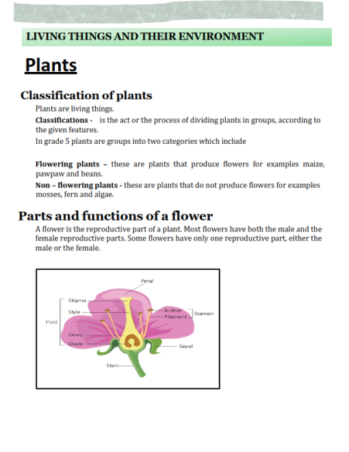 GRADE 5 SCIENCE AND TECHNOLOGY LESSON NOTES - TERM 1- 3 - Elimu Cloud ...