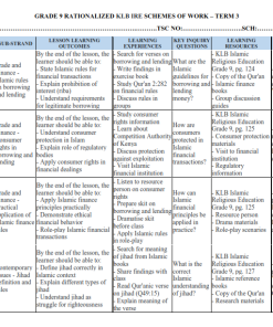 GRADE 9 RATIONALIZED KLB IRE SCHEMES OF WORK – TERM 3