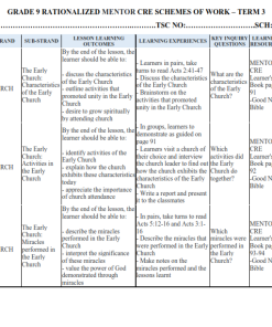 GRADE 9 RATIONALIZED MENTOR CRE SCHEMES OF WORK – TERM 3
