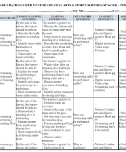 GRADE 9 RATIONALIZED MENTOR CREATIVE ARTS & SPORTS SCHEMES OF WORK – TERM 3