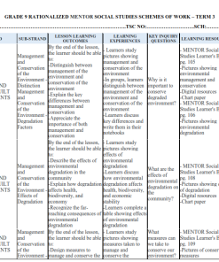 GRADE 9 RATIONALIZED MENTOR SOCIAL STUDIES SCHEMES OF WORK – TERM 3