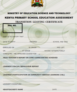 TRANSITION LEAVING CERTIFICATE