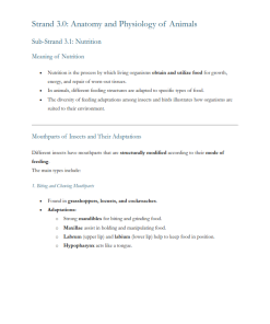 Grade 10 Biology  Anatomy and Physiology of Animals  (Strand 3) Notes