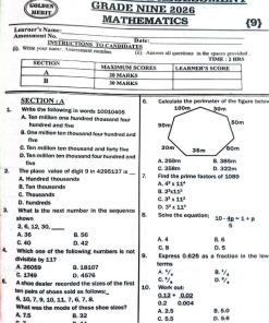2026 GRADE 9  GOLDEN MERIT EXAM WITH SCHEMES