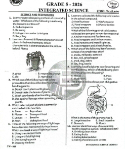 2026 GRADE 5  TARGETER 003 EXAM AND MARKING SCHEME