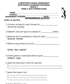 2026 GRADE 3 OPENER EXAMS WITH MARKING – SET 1
