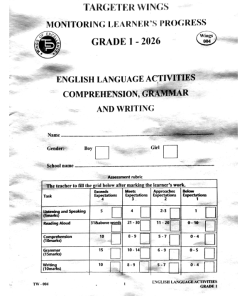 2026 GRADE 1 TARGETER WINGS  004 EXAMS