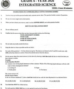 2026 GRADE 6 TARGETER WINGS 004 EXAMS WITH MARKING SCHEMES