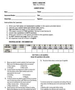 2026 Grade 8 Agriculture and Nutrition Mid Term 2  Exam with Marking Scheme