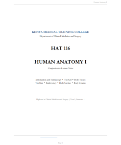 Human Anatomy I Notes - KMTC