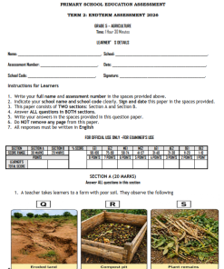 2026 GRADE 5 END TERM ASSESSMENT – TERM 2
