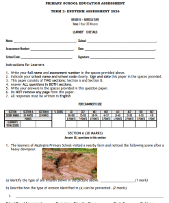 2026 GRADE 6 END TERM ASSESSMENT – TERM 2