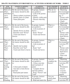2026 PP1 MASTERING ENVIRONMENTAL  SCHEMES OF WORK – TERM 3