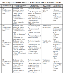 2026 PP2 QUEENEX ENVIRONMENTAL ACTIVITIES SCHEMES OF WORK – TERM 3