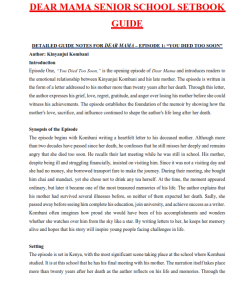 GRADE 10 DREAM DENIED GUIDE BOOK SUMMARY NOTES V2