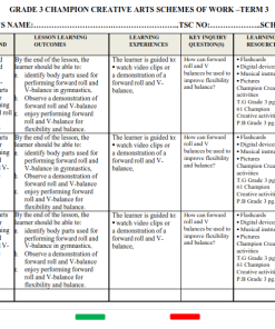2026 GRADE 1-6 ALL SUBJECTS(BUNDLE) SCHEMES OF WORK - TERM 3