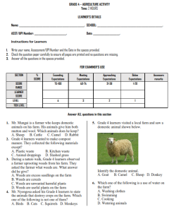 2026 GRADE 4 TERM 3 OPENER EXAMS – FULL SET 1