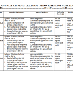 2026 GRADE 4,5,6 ALL SUBJECTS(BUNDLE) SCHEMES OF WORK - TERM 3