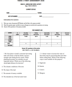 2026 GRADE 8 TERM 3 OPENER EXAMS WITH MARKING SCHEMES – FULL SET 1