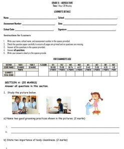 2026 Grade 6 August Holiday Assignments/Homeworks with Answers - Full Set Booklet