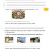 2026 Grade 8 August Holiday Assignments/Homeworks with Answers - Full Set Booklet