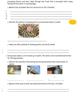 2026 Grade 8 August Holiday Assignments/Homeworks with Answers - Full Set Booklet