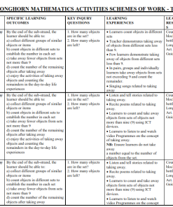 2026  PP2 LONGHORN MATHEMATICS ACTIVITIES SCHEMES OF WORK - TERM 3