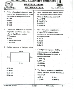 2026 GRADE 4  DISTINCTION 007  EXAMS WITH MARKING SCHEMES